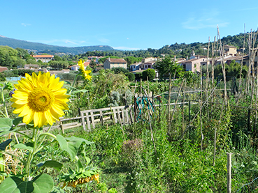 Jardin du Curé