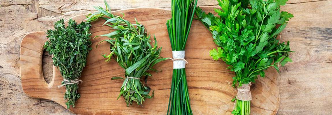 plantes aromatiques et medicinales au jardin CAPG