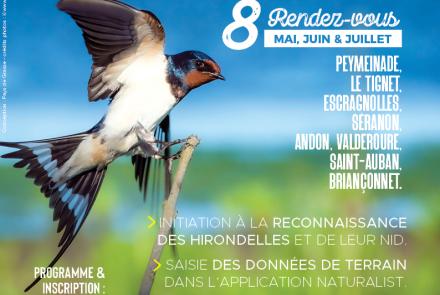 Inventaires hirondelles 2026 CAPG