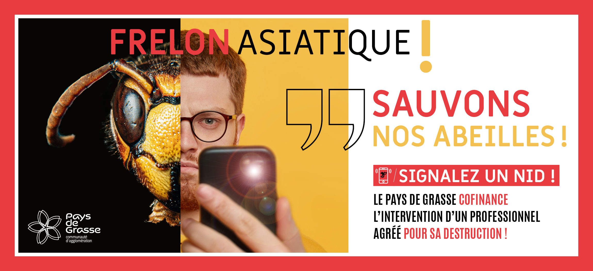 Frelon asiatique : Sauvons nos abeilles !