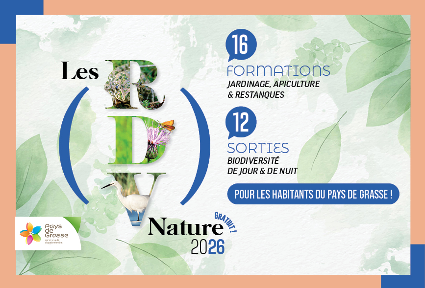 Sortie Nature libellules pays de grasse