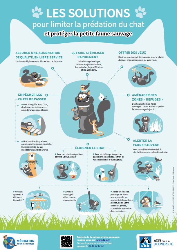 poster-predation-chat-lpo