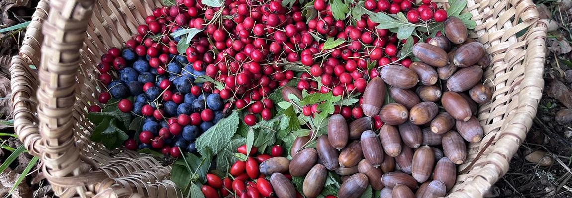 Formation fruits automne Pays de Grasse