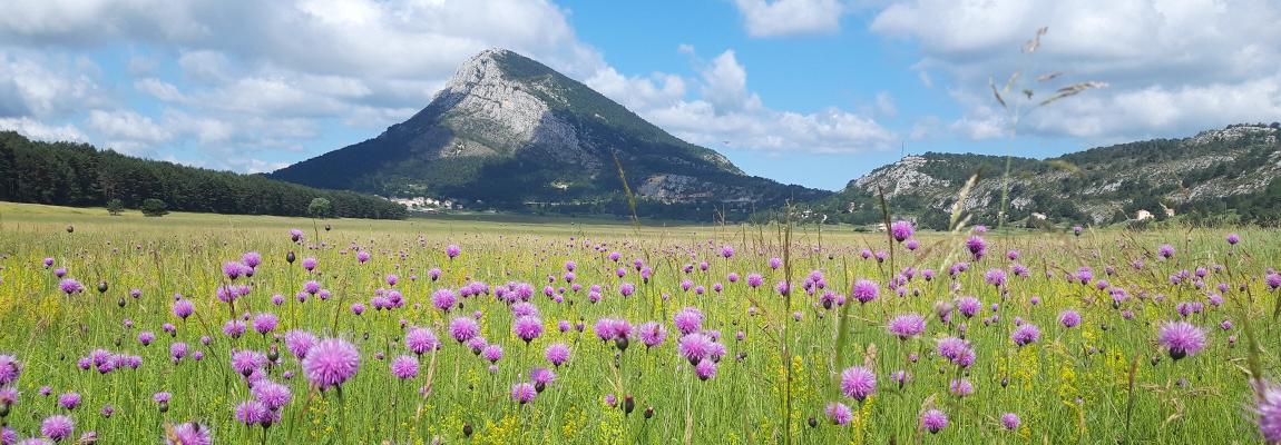 Sortie nature prairie inondables CAPG