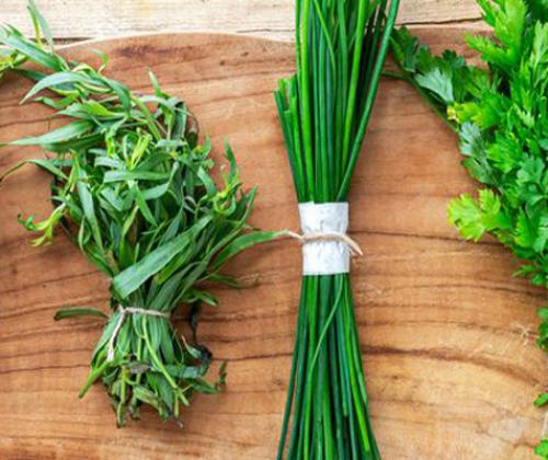 plantes aromatiques et medicinales au jardin CAPG