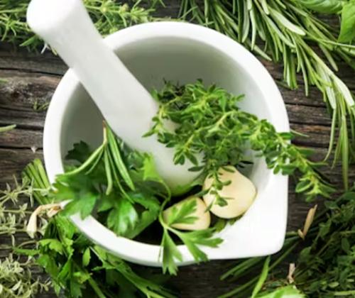 formation epices herbes jardin pays de grasse