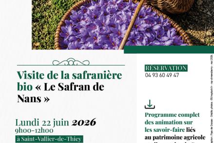 Visite safraniere Saint-Vallier Pays de Grasse