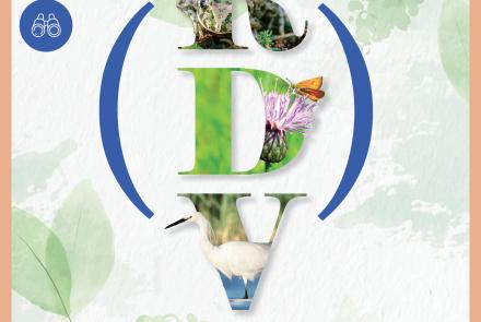 Sortie découverte chants oiseaux CAPG